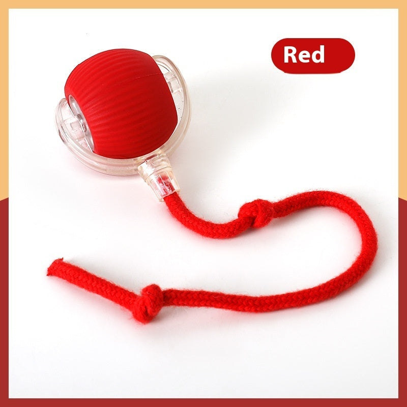 Super Drive Interactive Rolling Cat Toy Ball – Endless Fun for Your Feline!