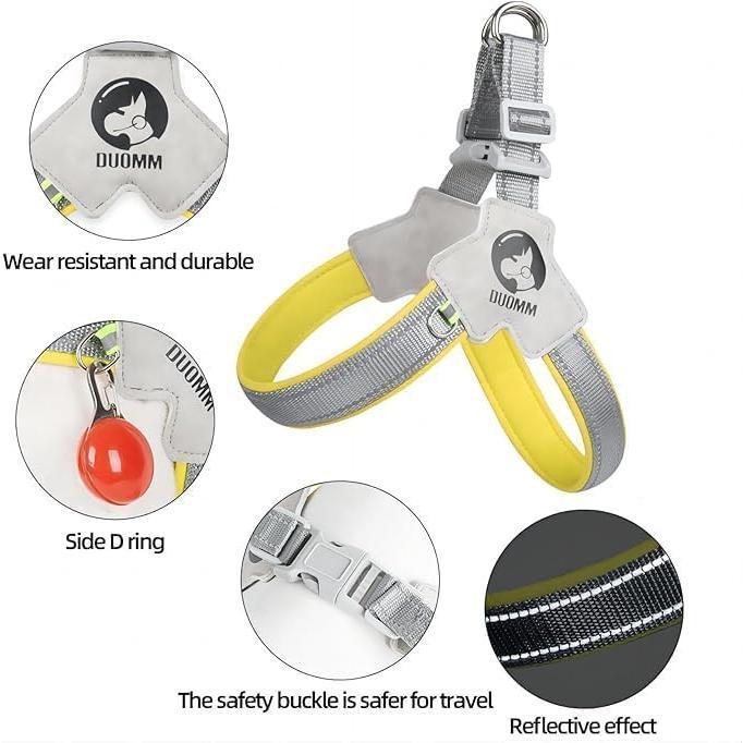 Reflective No-Pull Dog Harness & Leash Set