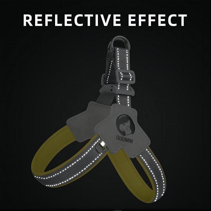 Reflective No-Pull Dog Harness & Leash Set