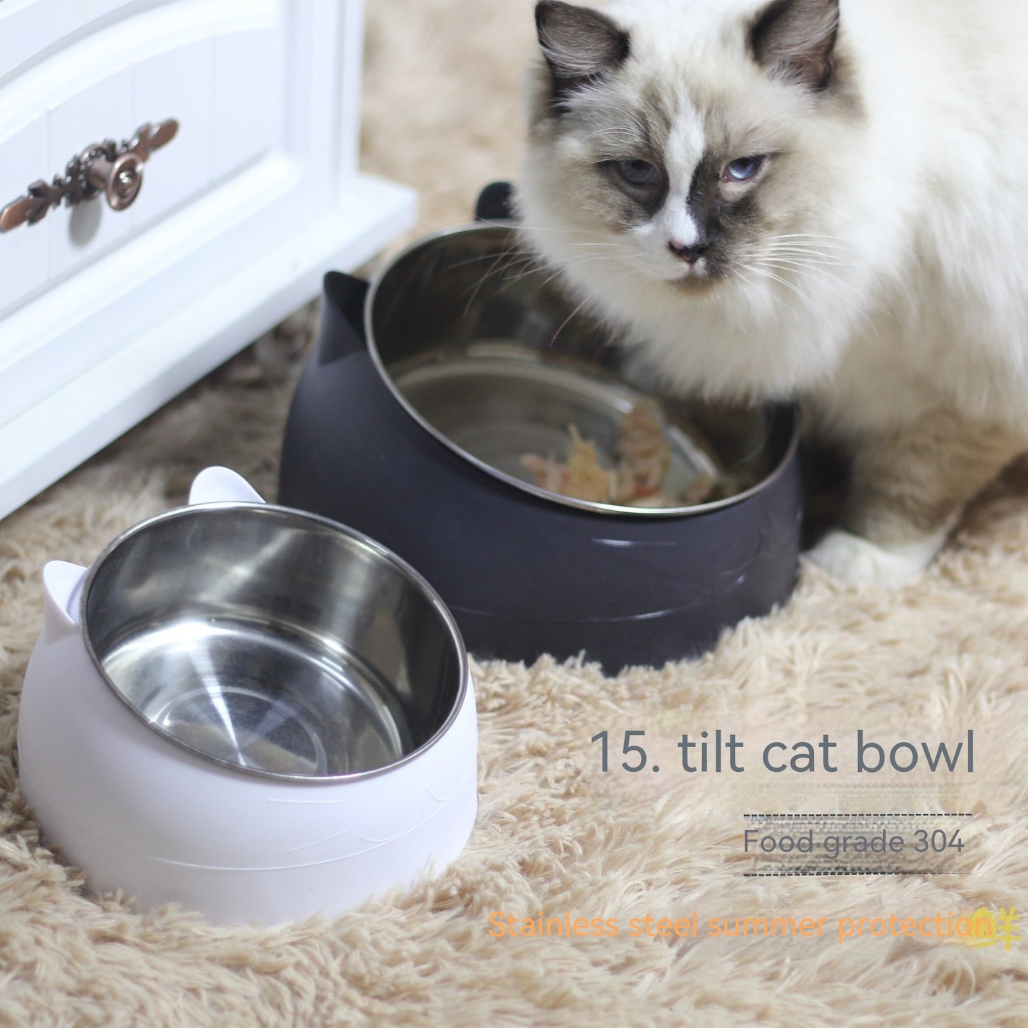 Paws & Posture Steel Bowl