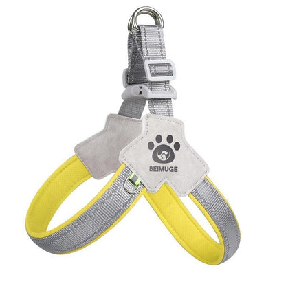 Reflective No-Pull Dog Harness & Leash Set
