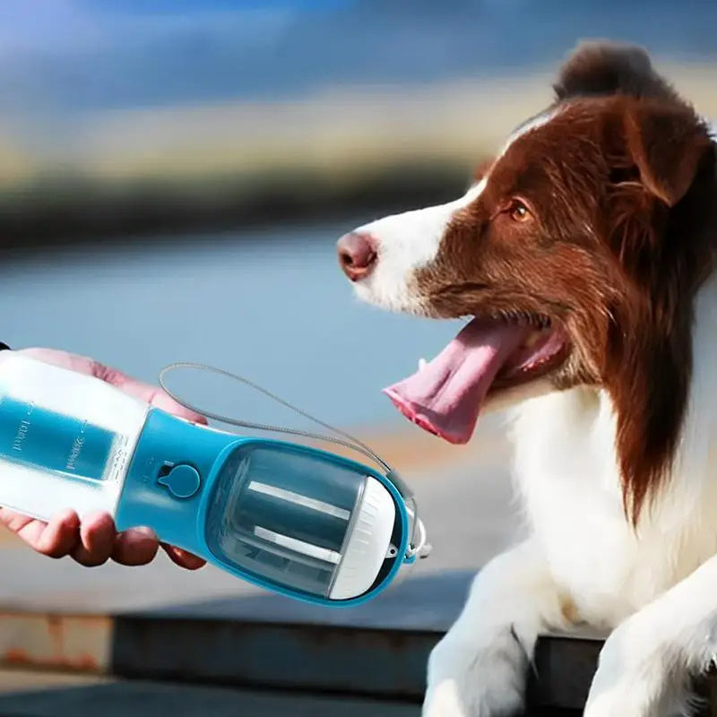 Sip, Snack & Scoop – 3-in-1 Pet Bottle
