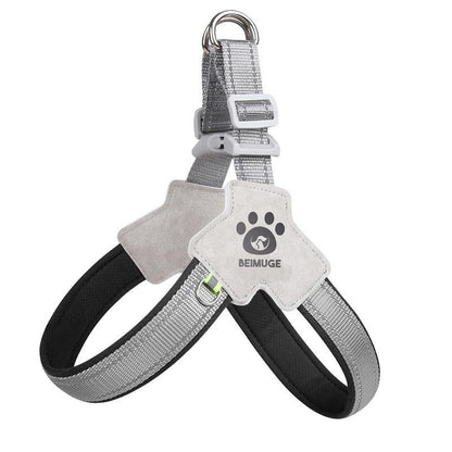 Reflective No-Pull Dog Harness & Leash Set