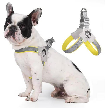 Reflective No-Pull Dog Harness & Leash Set