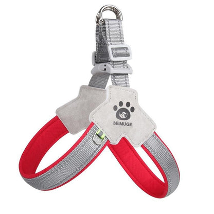 Reflective No-Pull Dog Harness & Leash Set