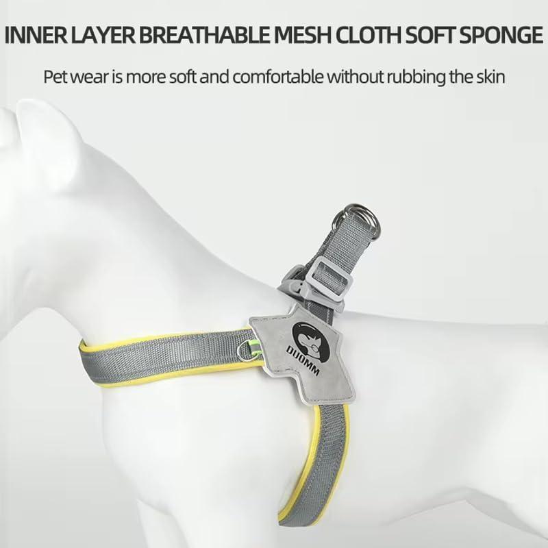 Reflective No-Pull Dog Harness & Leash Set