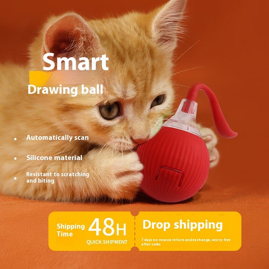 Super Drive Interactive Rolling Cat Toy Ball – Endless Fun for Your Feline!